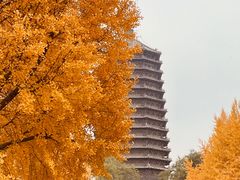 -玲珑塔公园