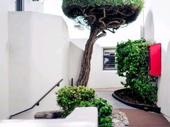 -谢列梅捷沃国际机场