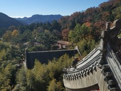 -潭柘寺景区