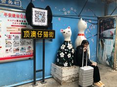 -猫咪博物馆(顶澳仔猫街店)