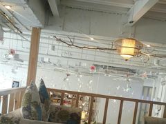 -苗祖咖啡(洛克时代中心店)