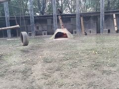 -上海博物馆-停车场