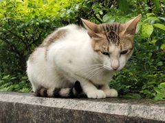 -中山公园