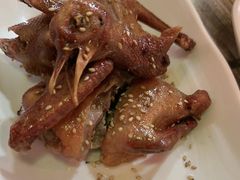 -东鸽皇(奥园·中环广场店)