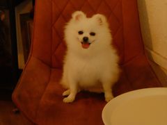 -ABCD咖啡屋(妇幼店)