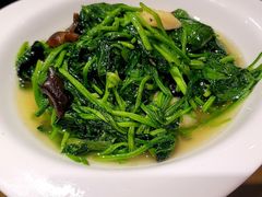 花圆菠菜-東大方(海宁海昌路店)