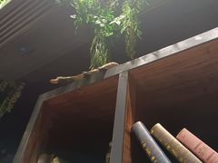 -湘当爱·鲜煮现炒(松岗立业路店)