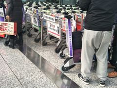 -肯德基(正定机场安检内店)