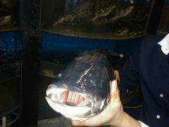 android_upload_pic-永安鱼庄·镇江菜(东吴路店)