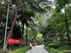 -房湖公园