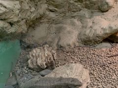 -上海大自然野生昆虫馆(东方明珠·爬宠昆虫探索中心)