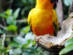 -广州长隆野生动物世界