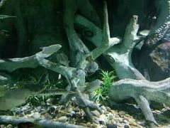 -福州罗源湾海洋世界旅游区