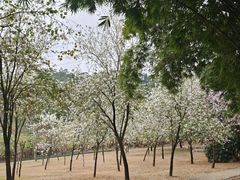 -中国移动南方基地