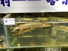 -胖姐渔村(中源大道店)