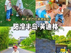 -苏州阳澄半岛英迪格酒店
