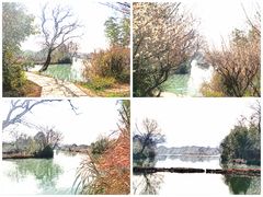 -西溪国家湿地公园