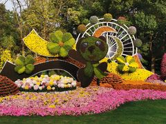 -上海共青森林公园