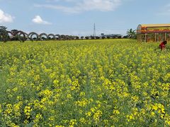 -迪茵湖田家舍生态农场