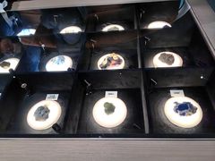 -陕西自然博物馆