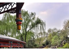 景点-北京动物园