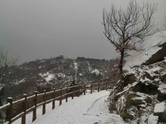 -白水寺森林公园