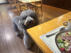 -沏点Trattoria意大利餐厅(新街口店)
