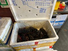-瑞丽活螃蟹(芒市店)