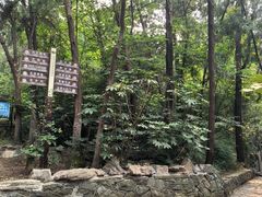 -云龙山