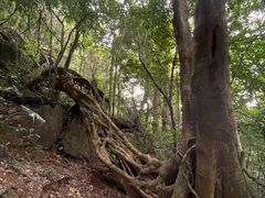 -七仙岭温泉国家森林公园