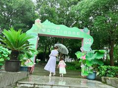 -陈家山荷花公园
