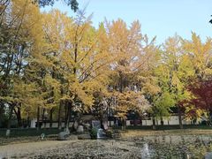 -温江公园