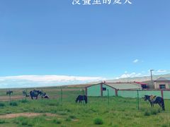 -青海湖国家重点风景名胜区