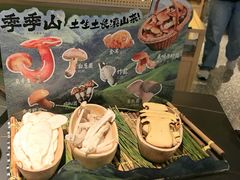 -季季山·云南野生菌火锅(上海首店)