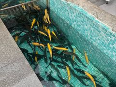 -京北渔家傲