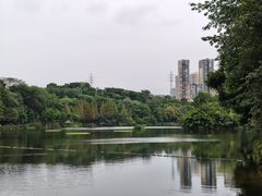 -重庆彩云湖湿地公园
