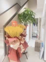-幼泡泡连锁美容医疗