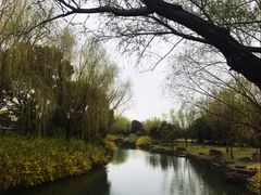 -上海滨江森林公园