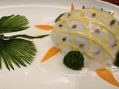-丁老爷子苏香圆