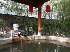 -西安国际创新人才交流中心•药浴温泉
