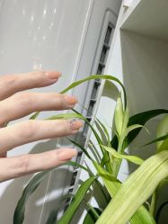 -CM.Nail美甲美睫