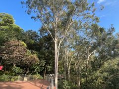 -广州市白云山风景名胜区