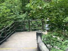 -刘伯温故里景区百丈漈