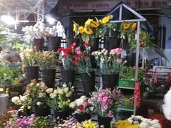 -循礼门鲜花花市(武汉循礼门店)