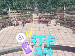 -石家庄市植物园