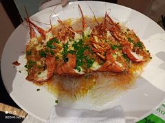 蒜蓉粉丝小青龙-启东海鲜人家(古美路店)
