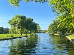 -上海共青森林公园