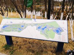 -白鹭湾湿地公园