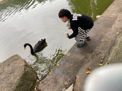 -珠海圆明新园
