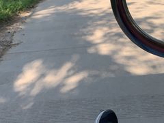 -西双版纳傣族园